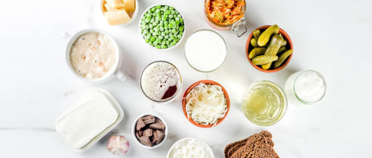 Alimentos Fermentados: Una Guía Completa